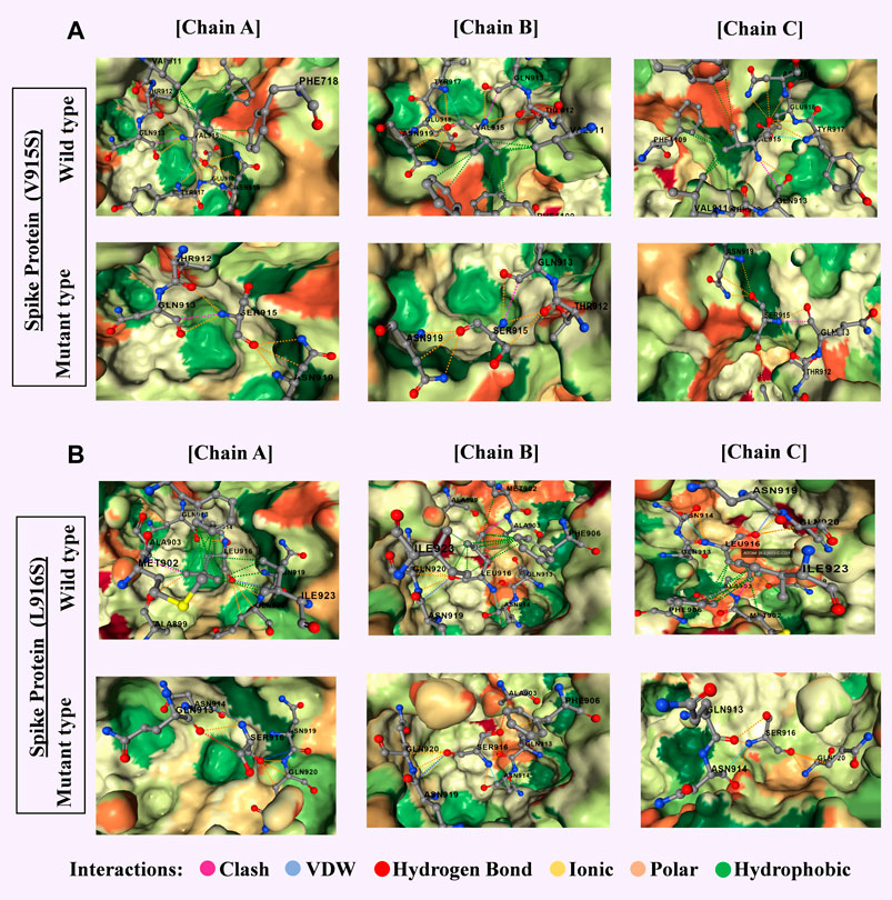 Most significant two mutations of spike proteins of delta variant